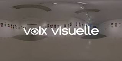 logo voix visuelle